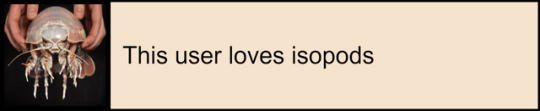 this user loves isopods